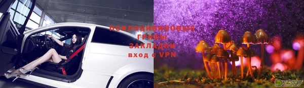 apvp Пересвет