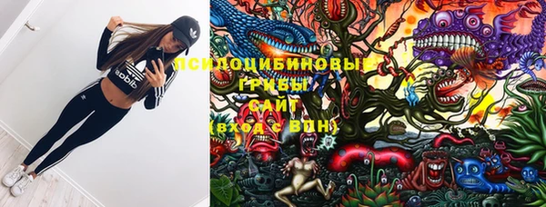 apvp Пересвет