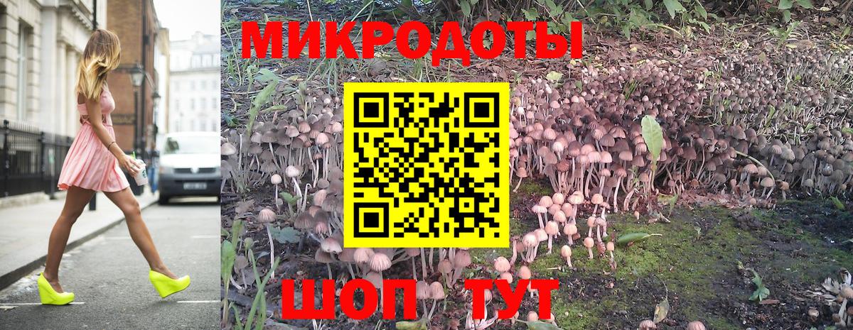 Ухта  Галлюциногенные грибы Psilocybine cubensis  Вход с VPN 